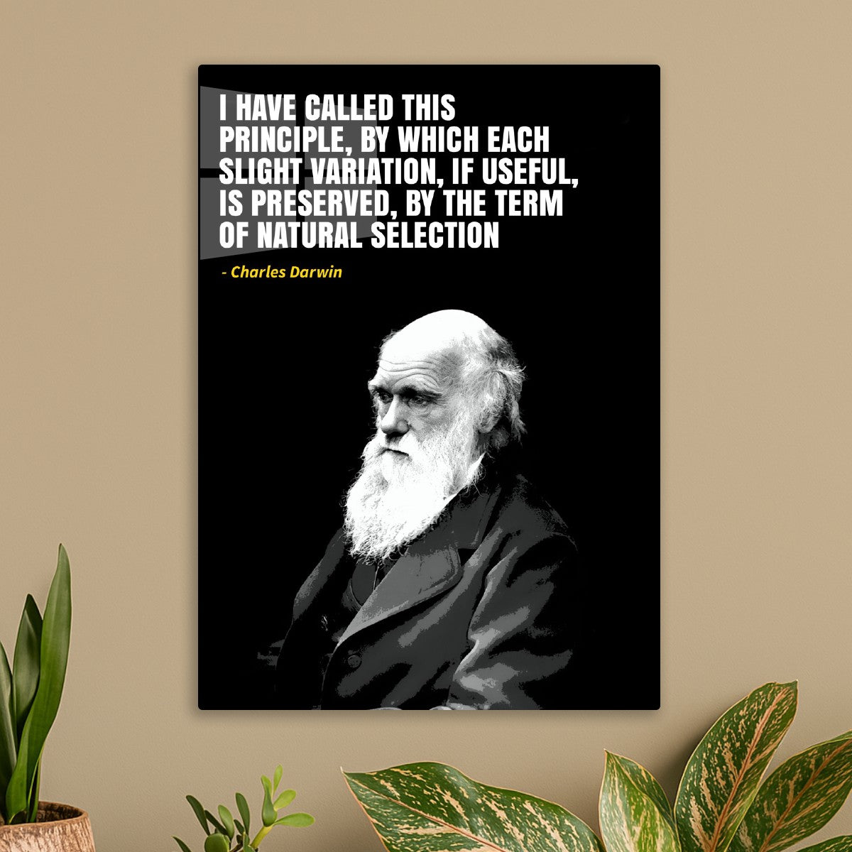 charles Darwin