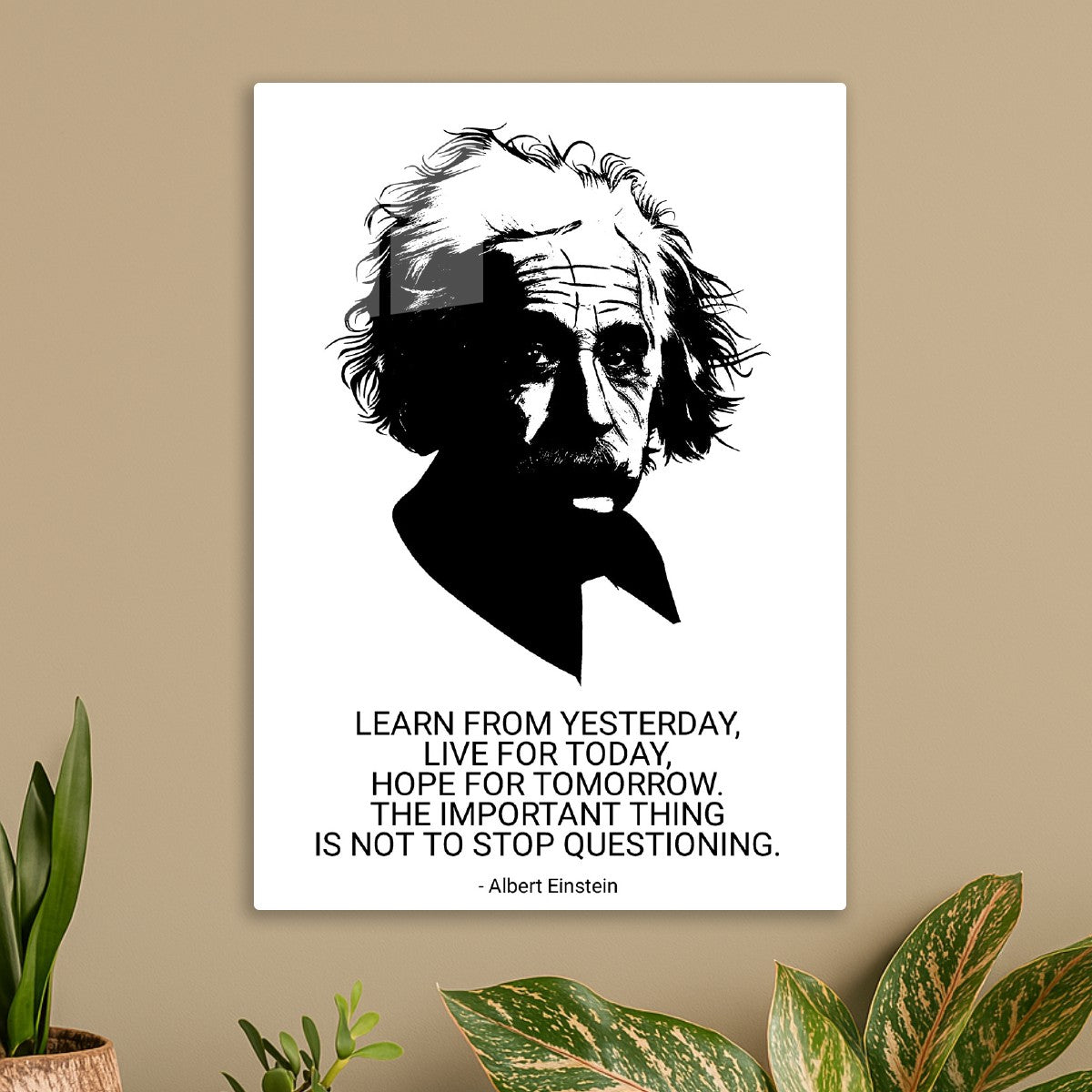 albert einstein 