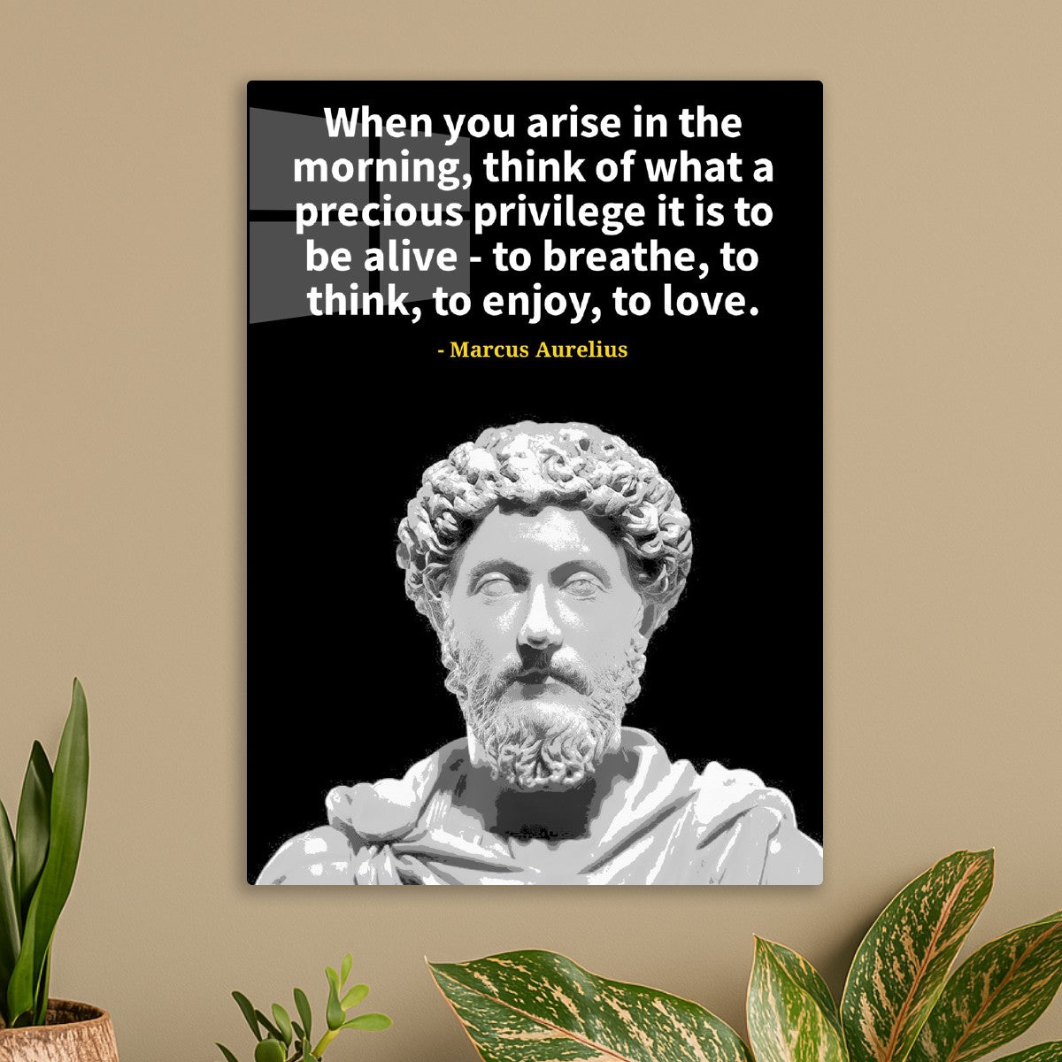 Marcus Aurelius