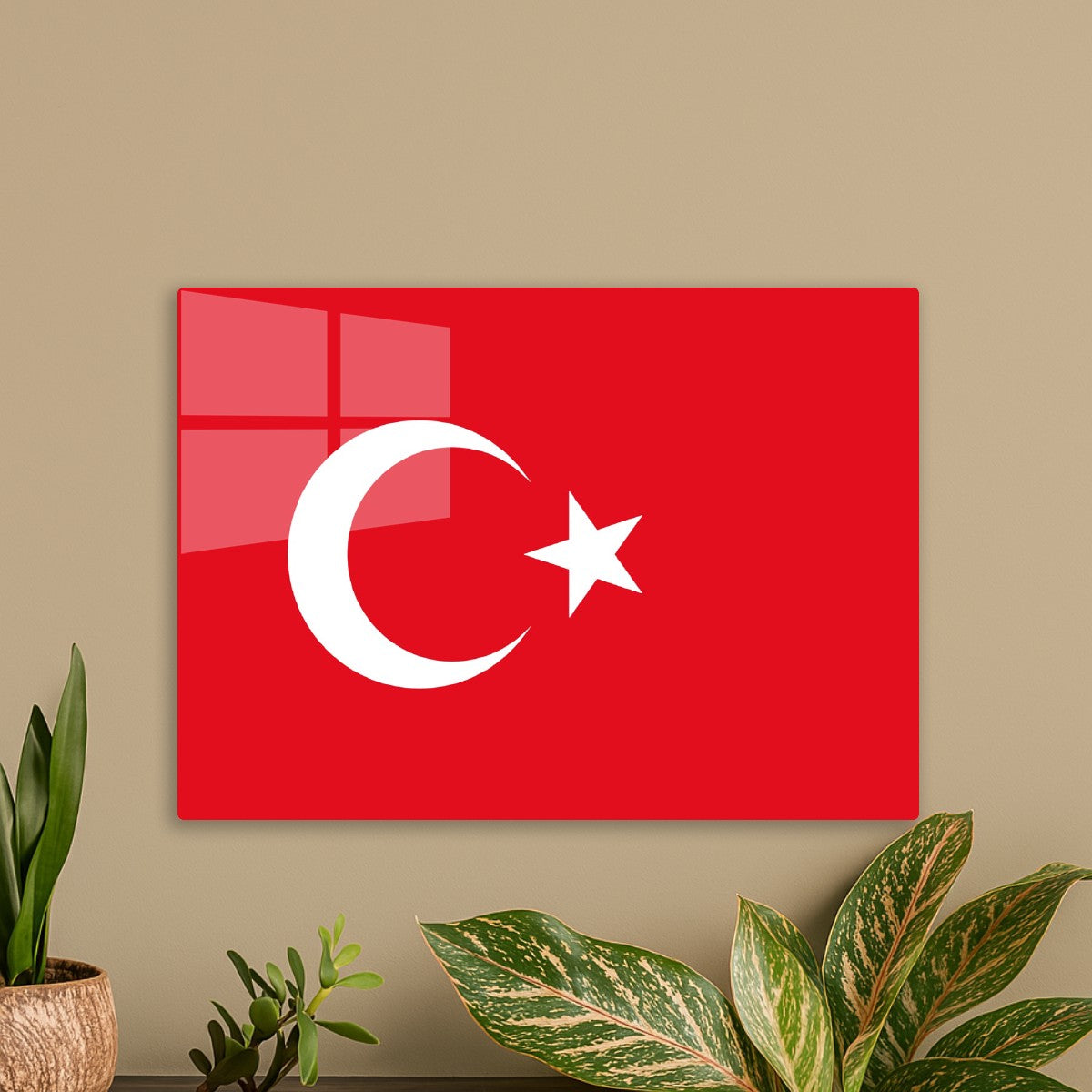 Flag of Turkey