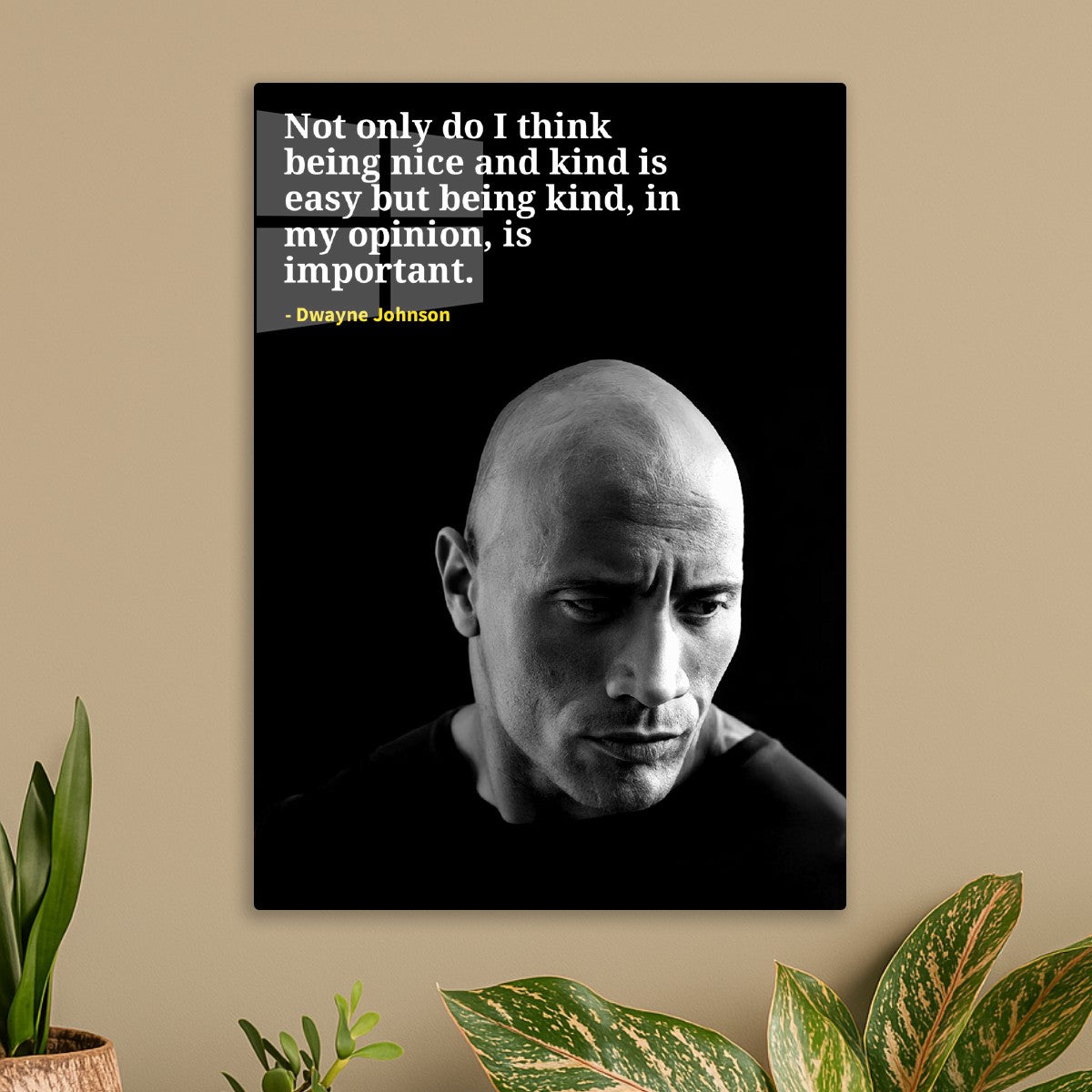 Dwayne johnson