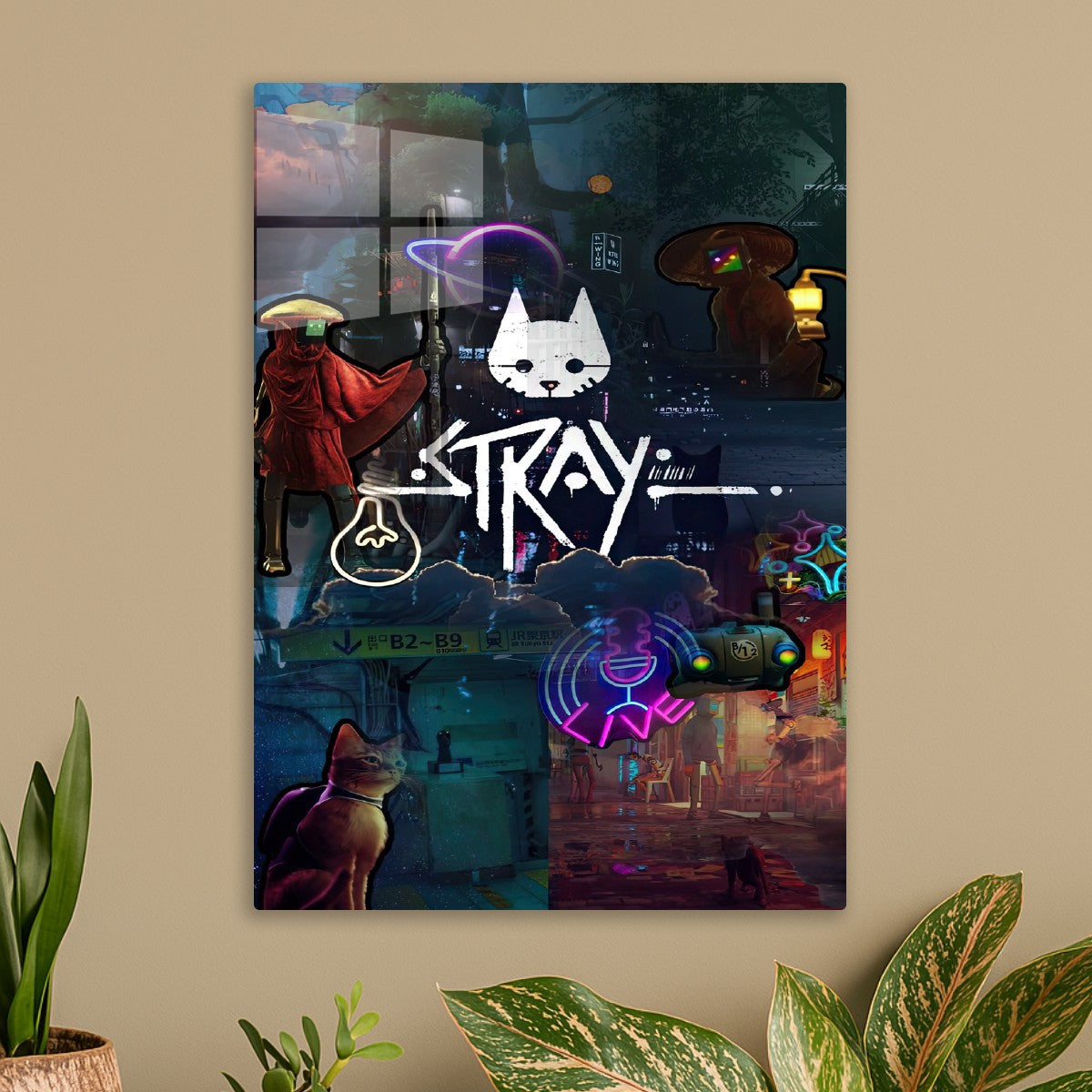 Stray