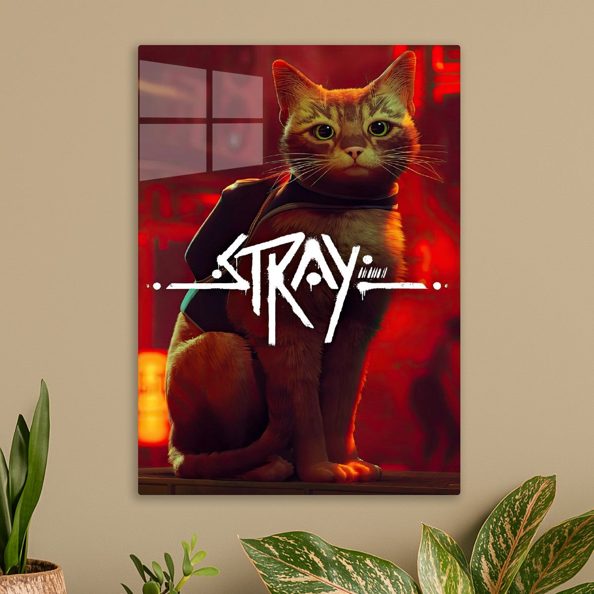 Stray