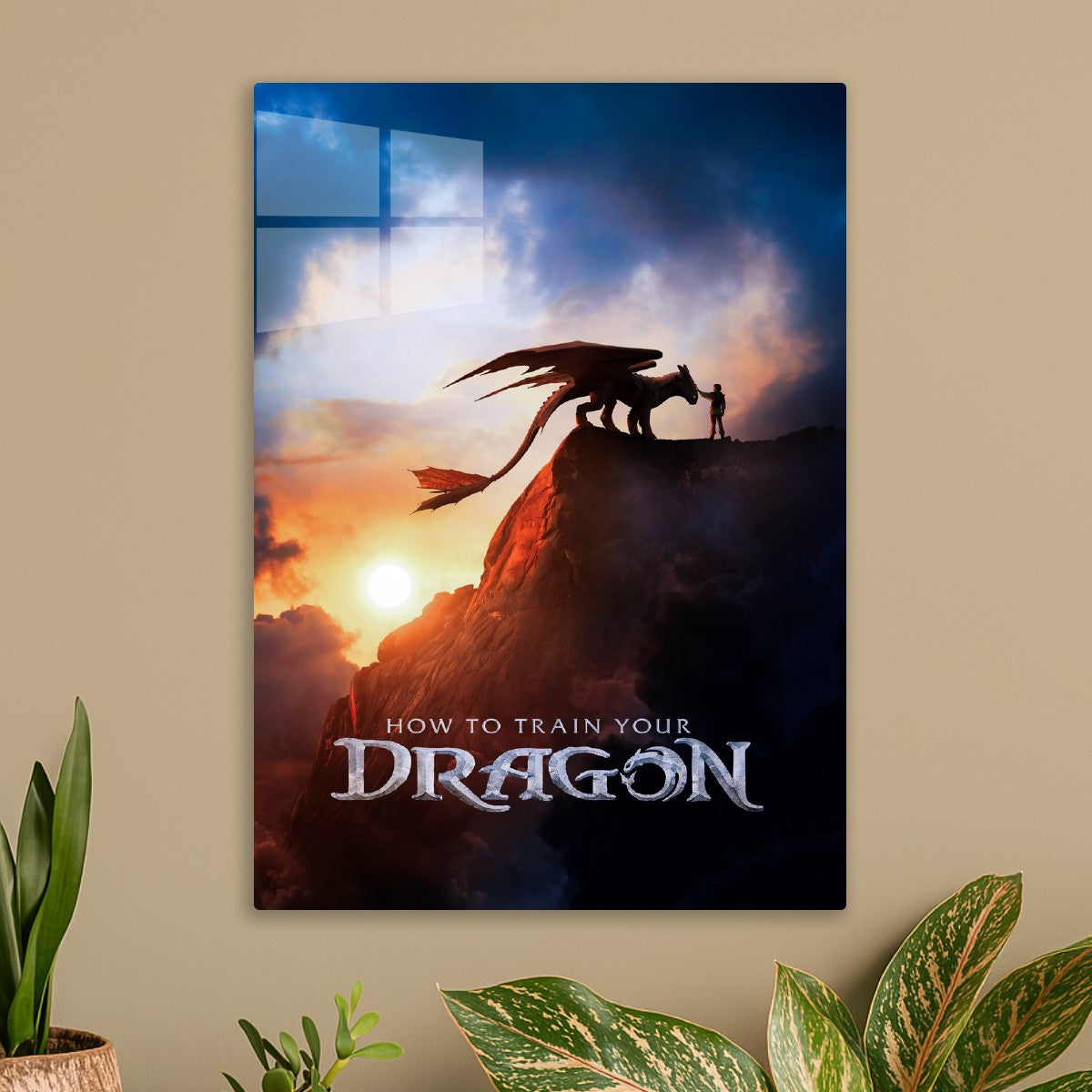 How to Train Your Dragon