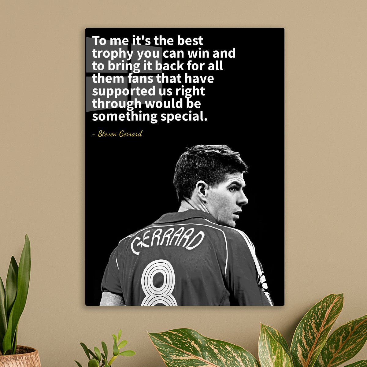 steven Gerrard