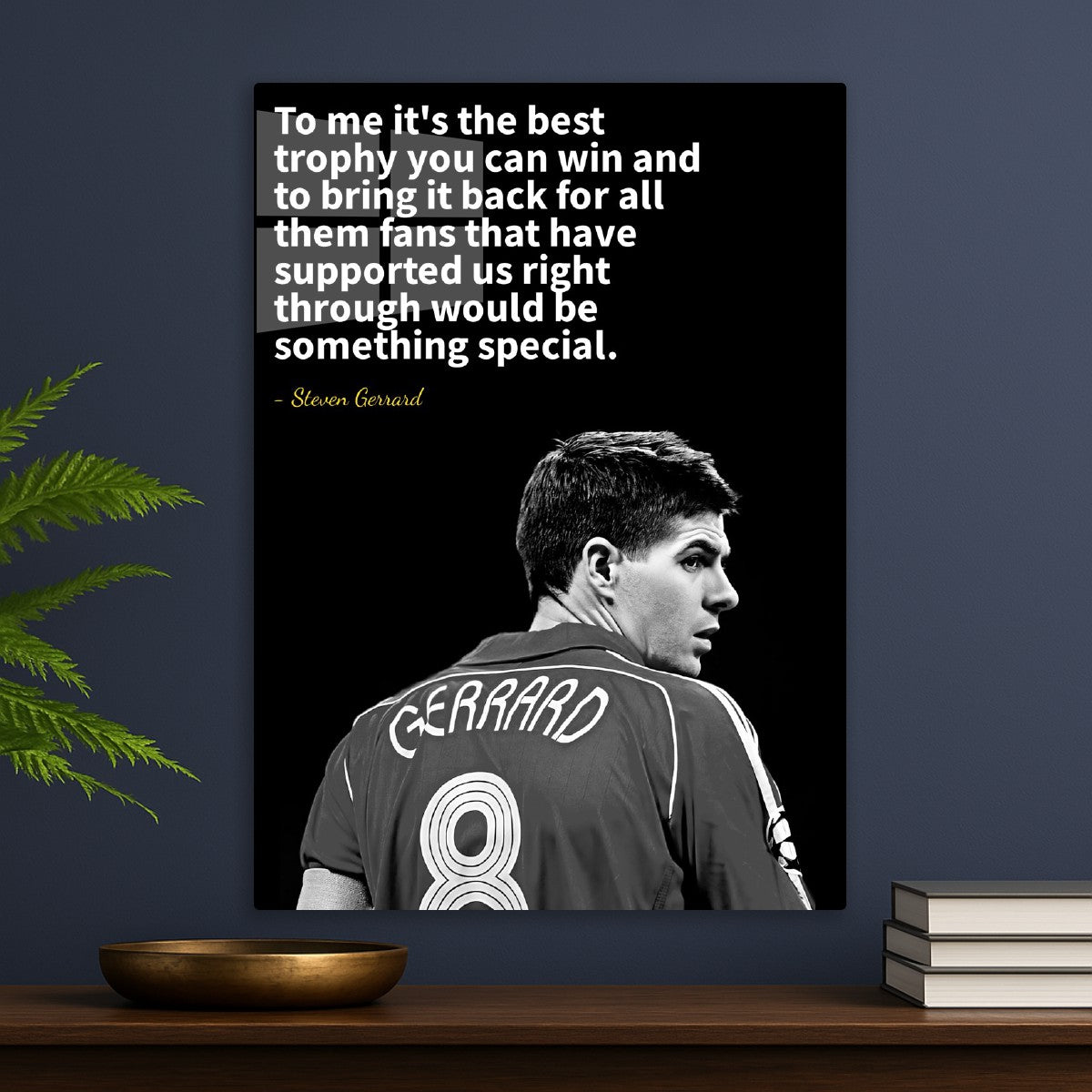 steven Gerrard