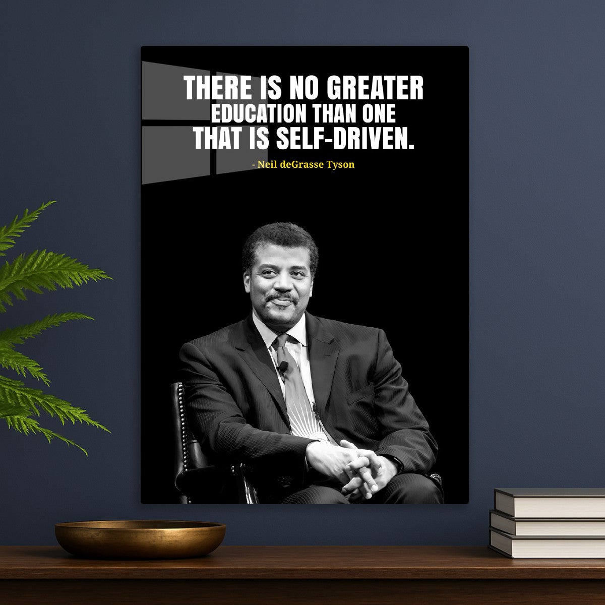 neil degrasse tyson
