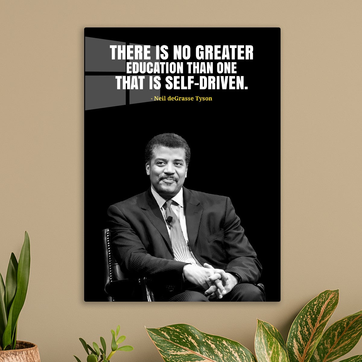 neil degrasse tyson