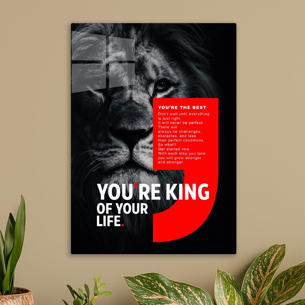 Lion: You're King Of Your Life