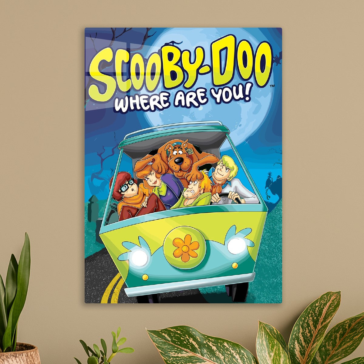 Scooby Doo 