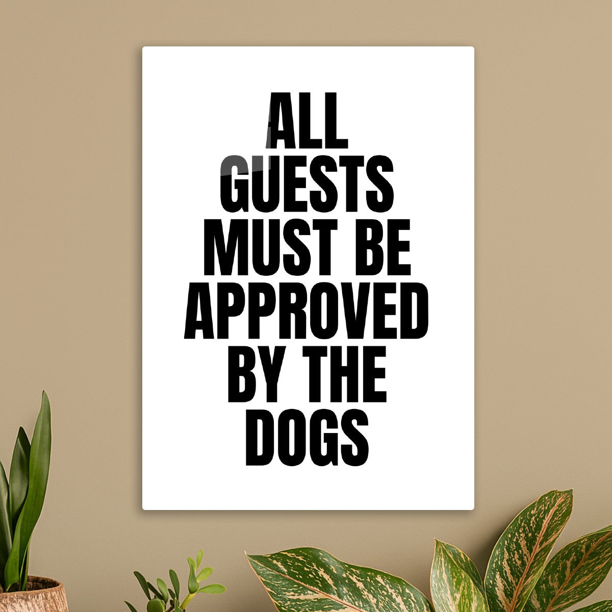 Approved by the dogs