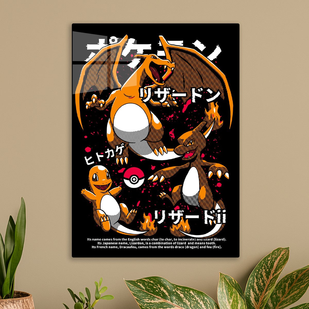 Charmander Charizard