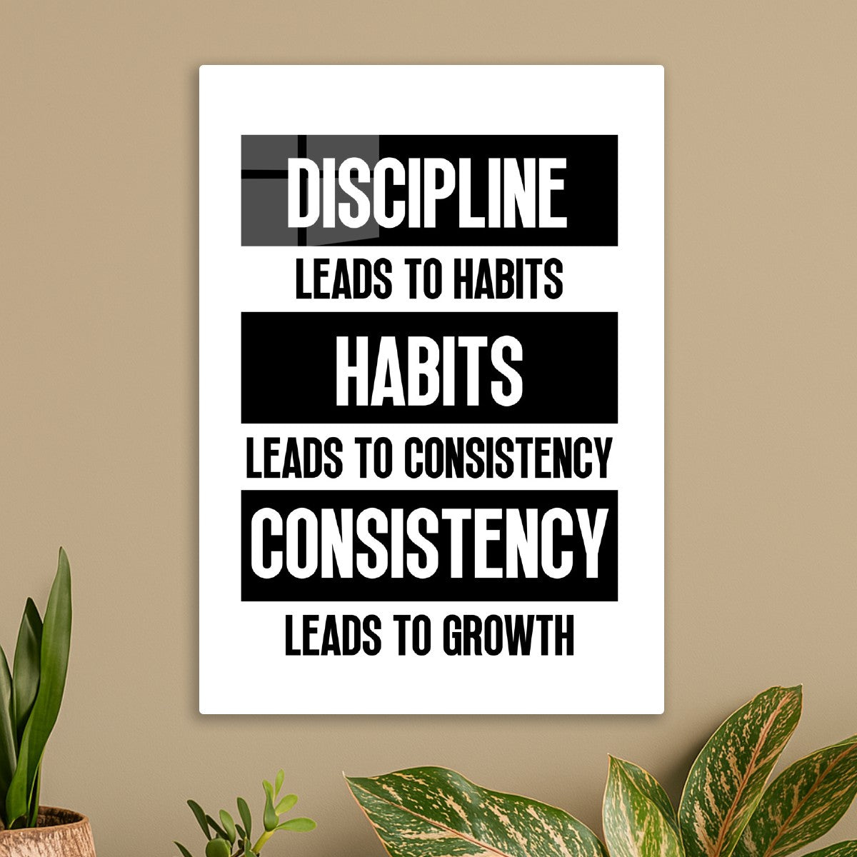 Discipline
