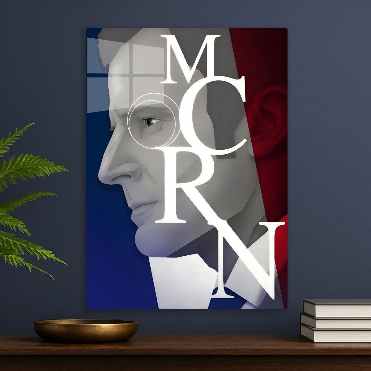 Emmanuel Macron France Flag