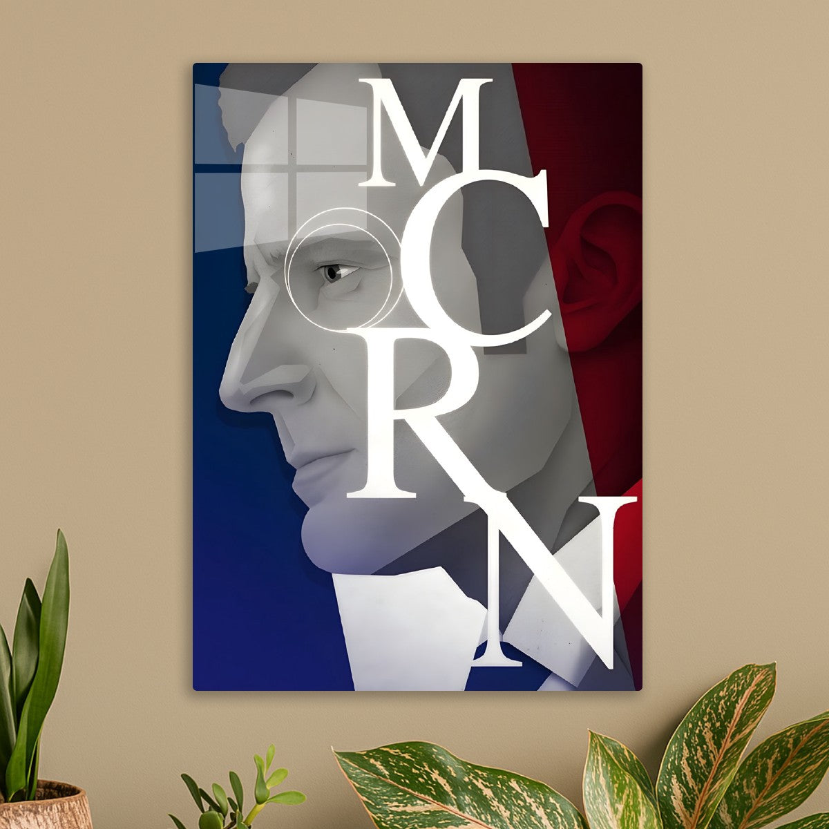 Emmanuel Macron France Flag
