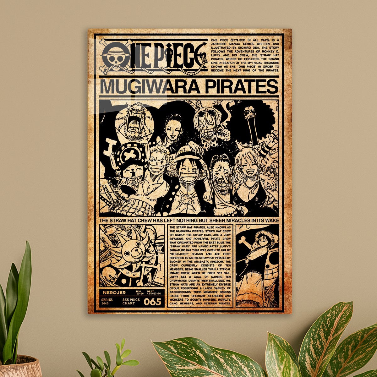 Mugiwara pirates, One Piece