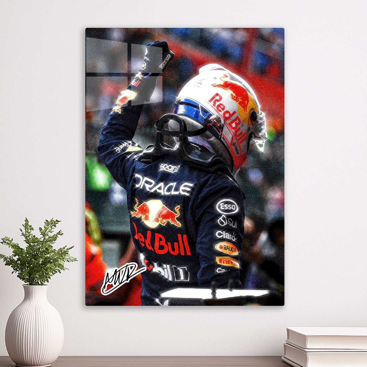 Max Verstappen Winning Pose