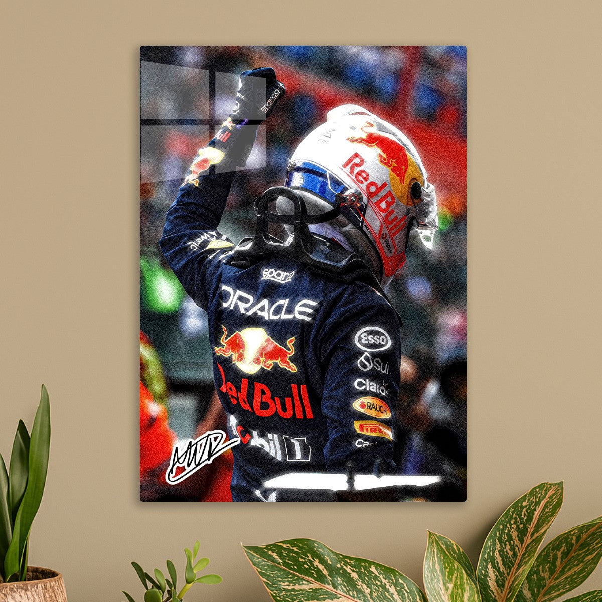 Max Verstappen Winning Pose
