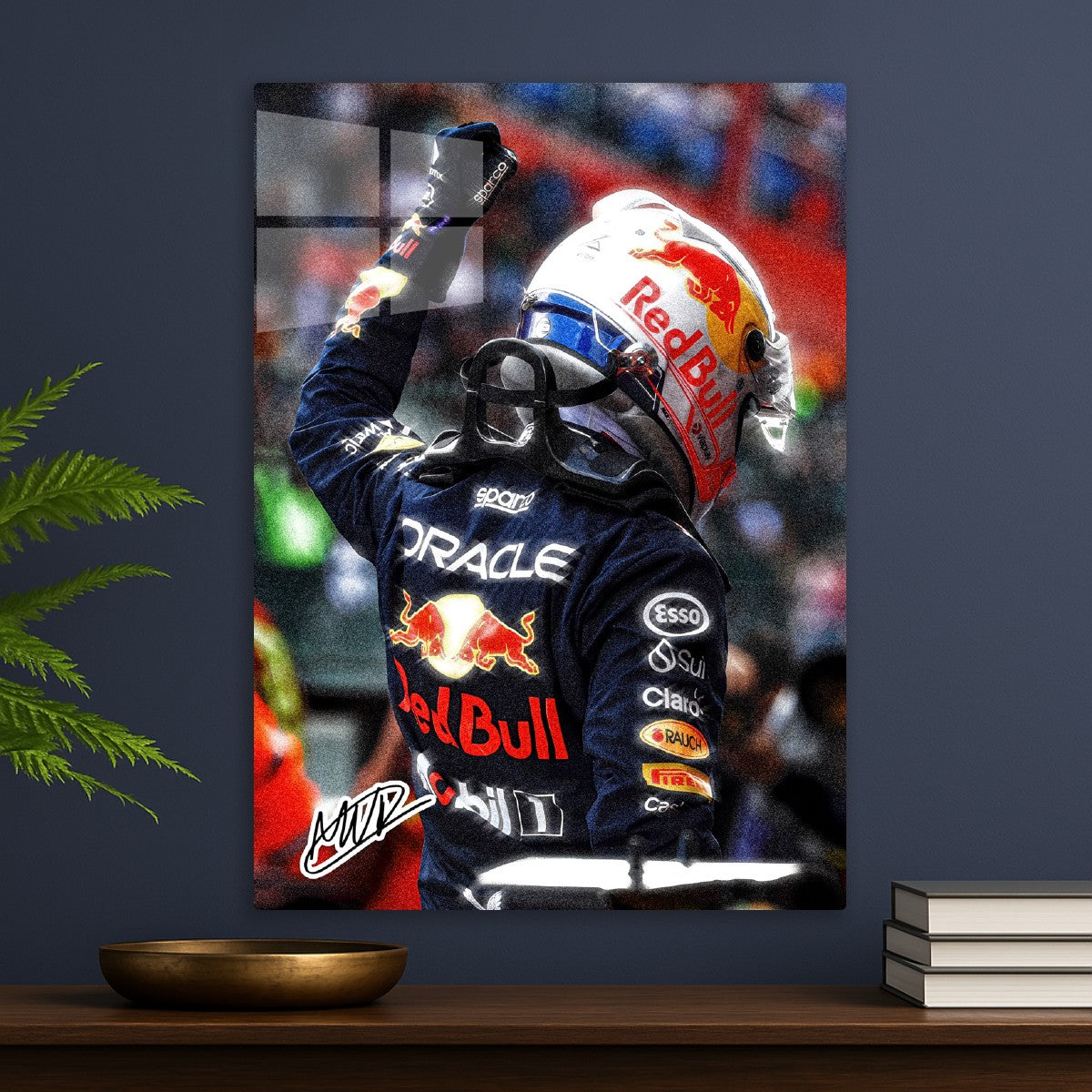 Max Verstappen Winning Pose