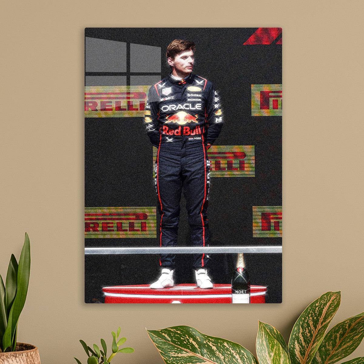 Max Verstappen Winning Pose