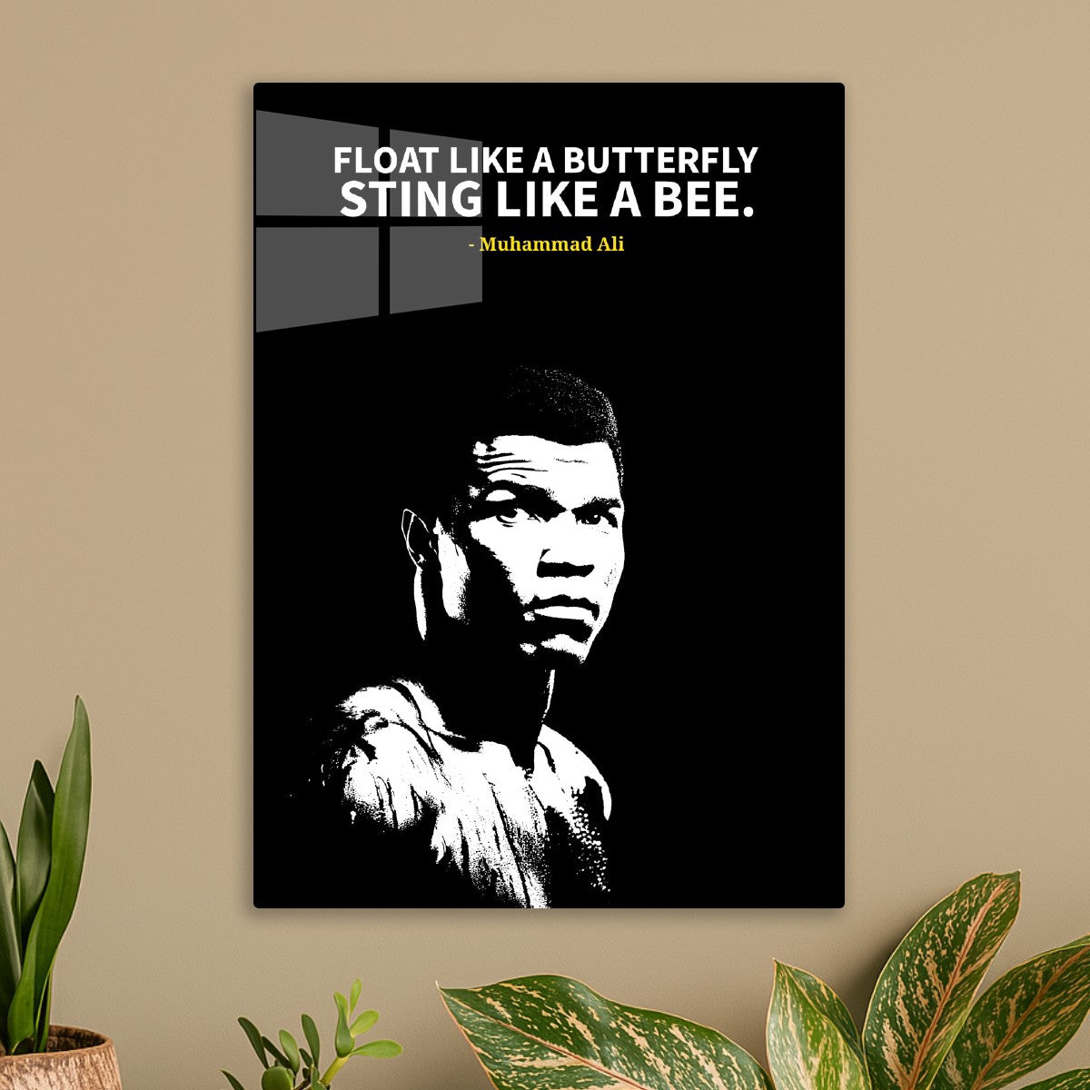Muhammad ali 