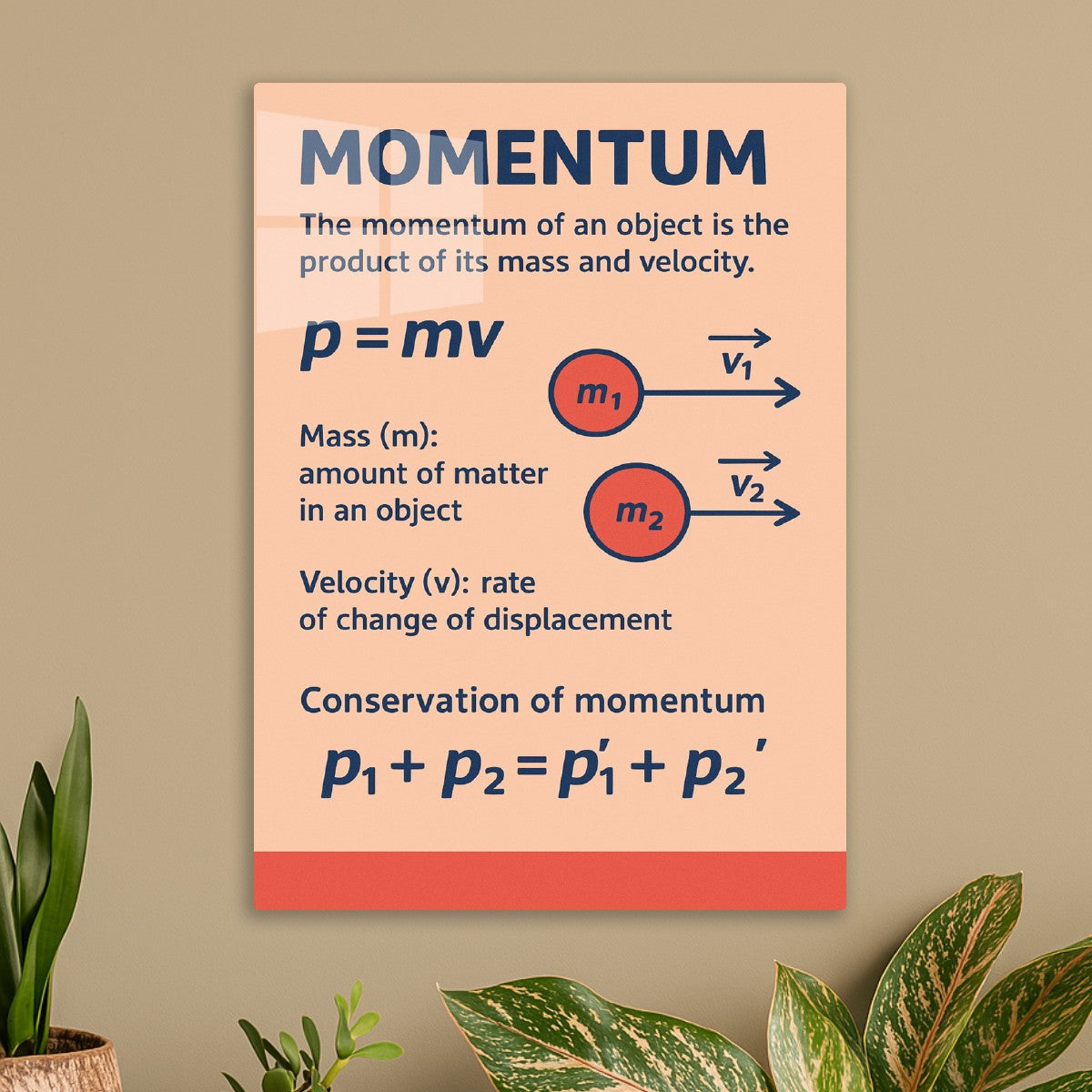 Momentum Physics Educational