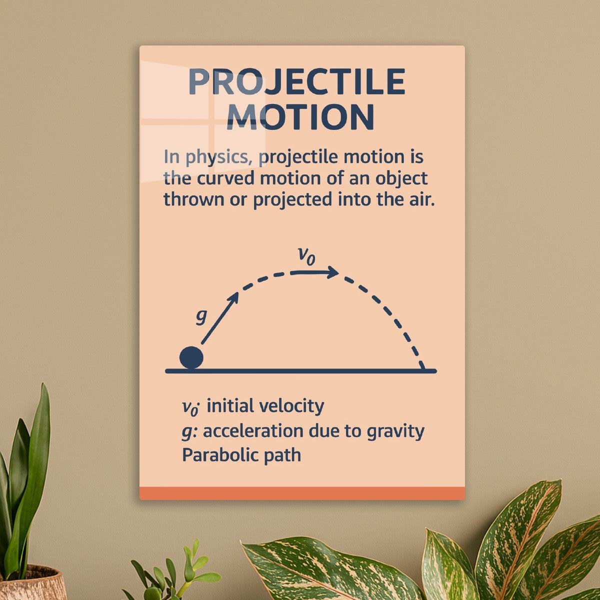 Projectile Motion Diagram