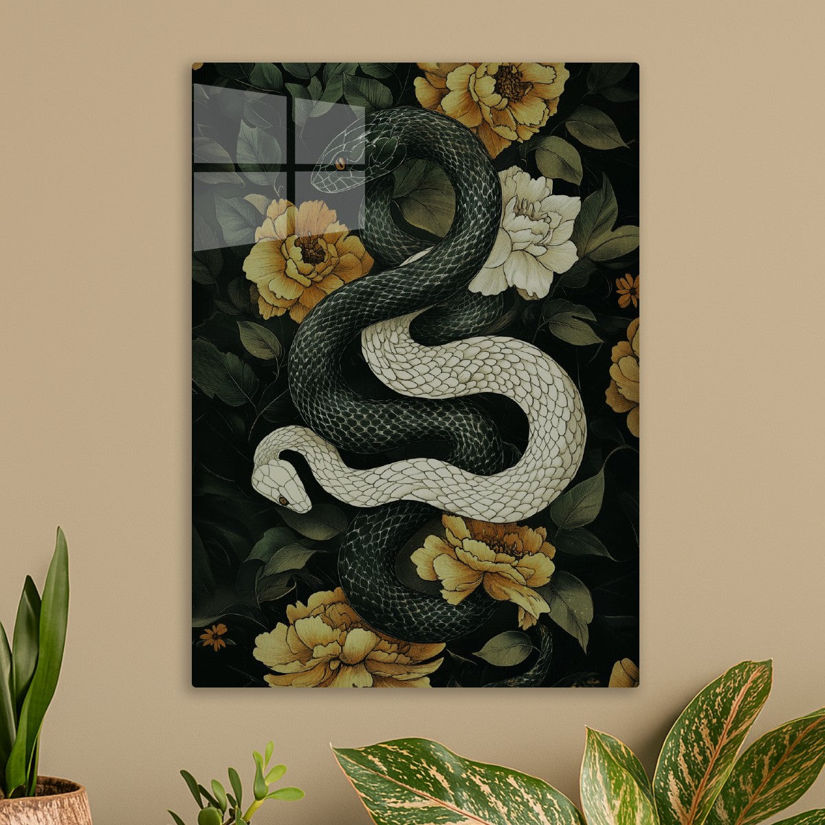 White Snake Black Snake