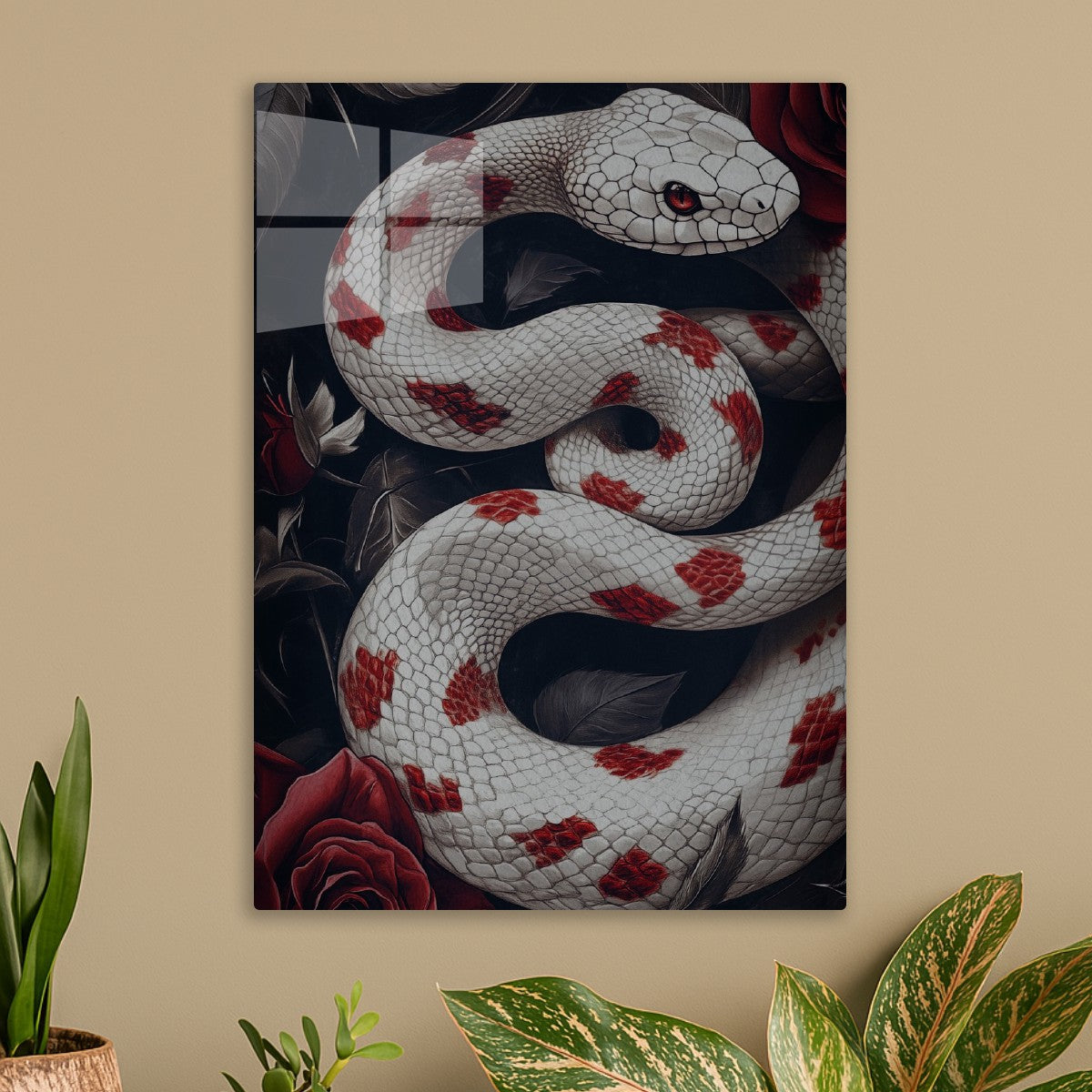 White and Red Patch Snake