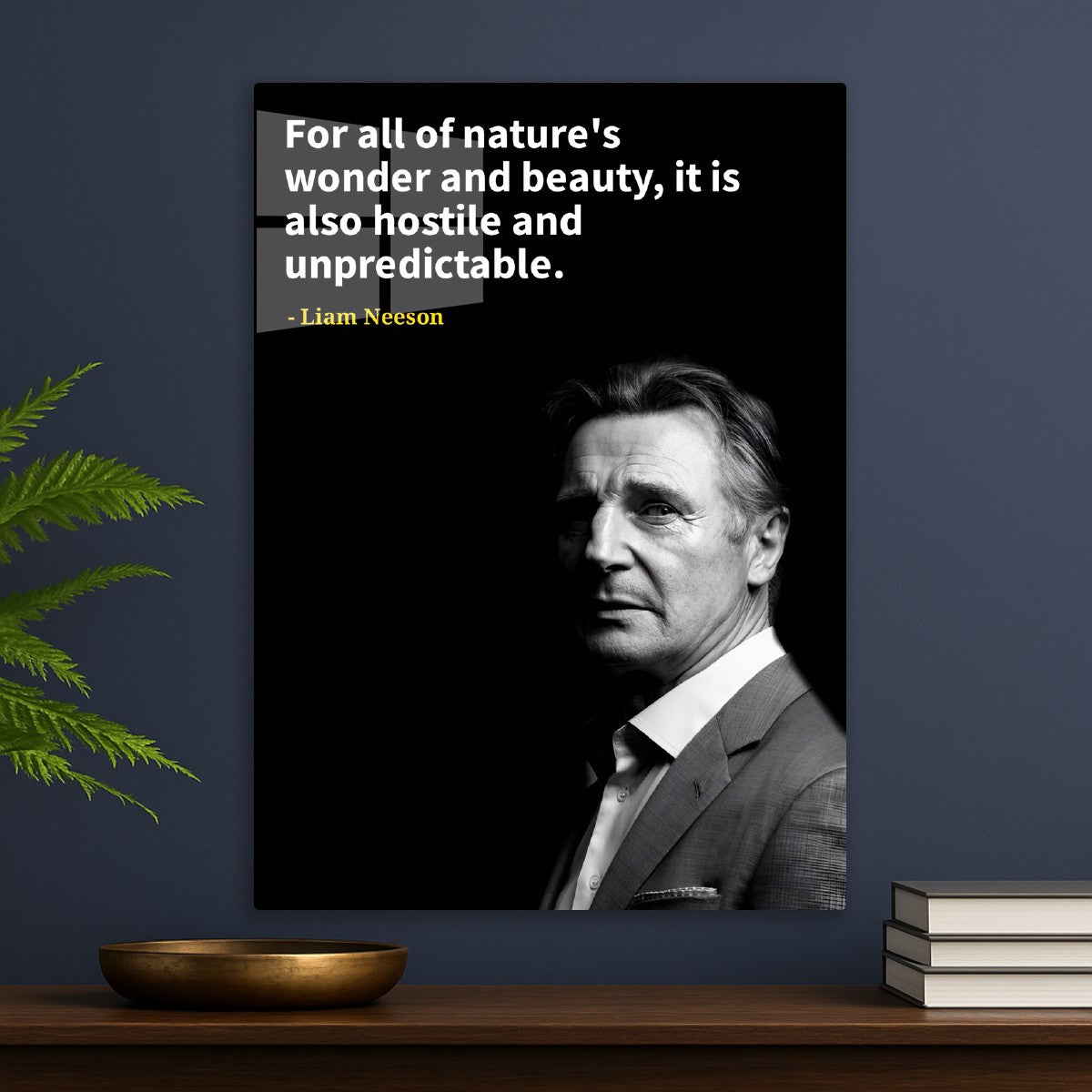 Liam Neeson 