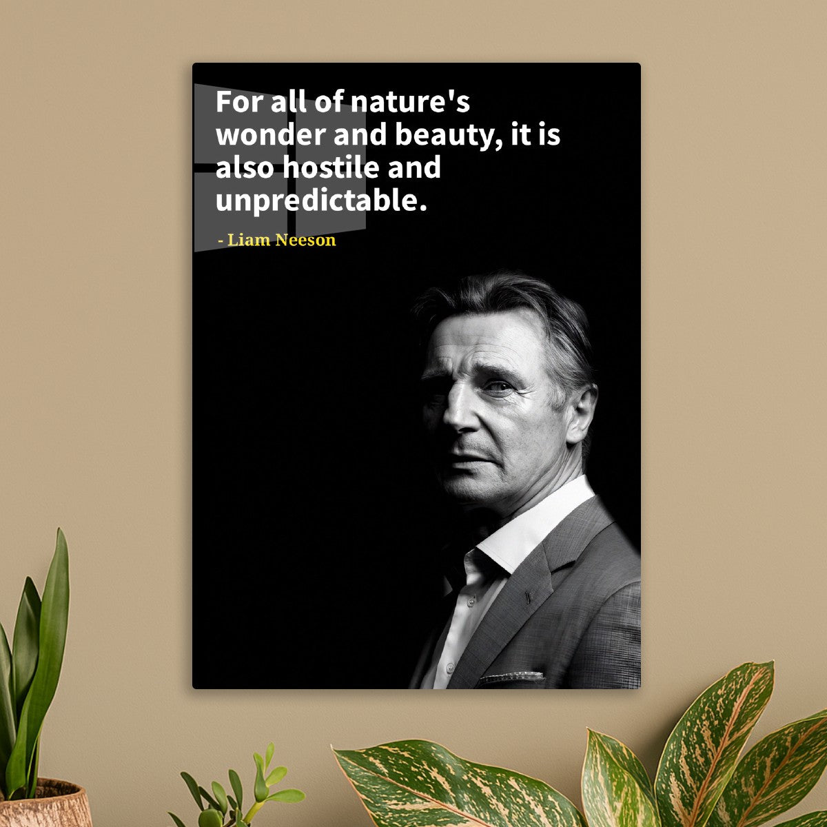 Liam Neeson 