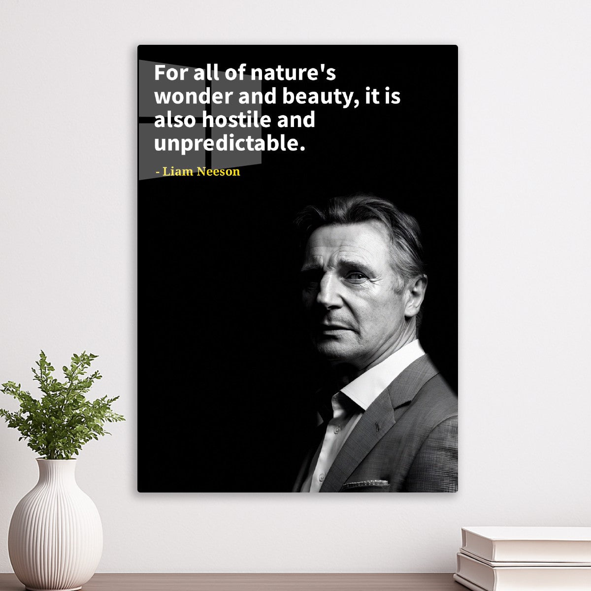 Liam Neeson 