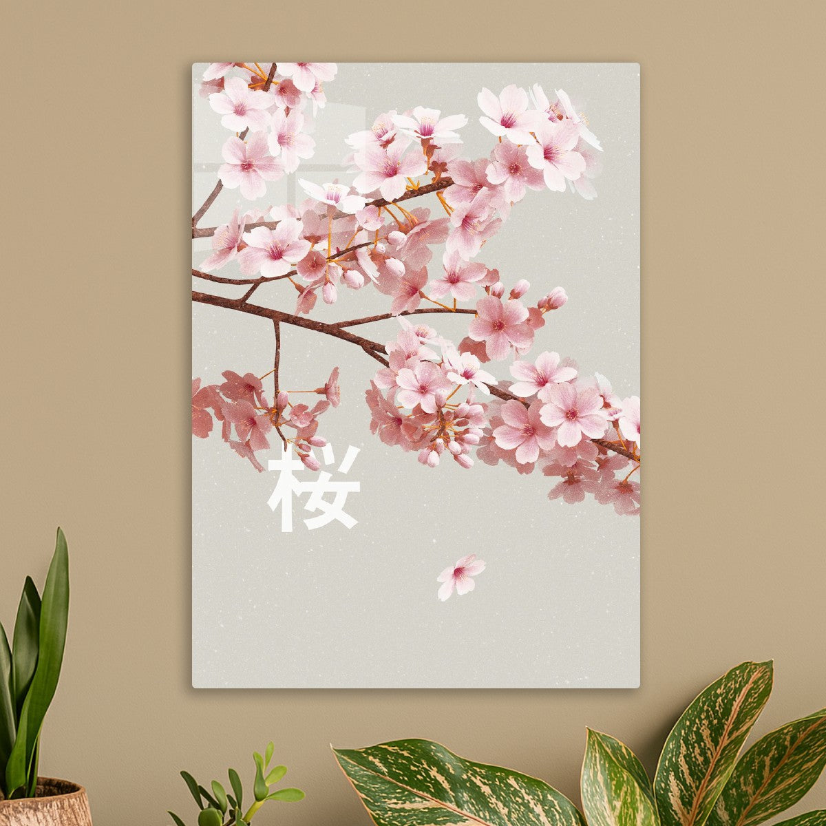Serene Sakura 