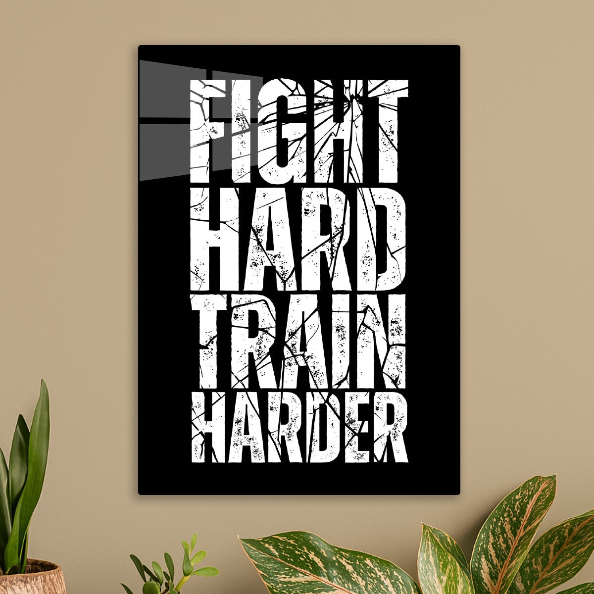 Fight Hard Train Harder