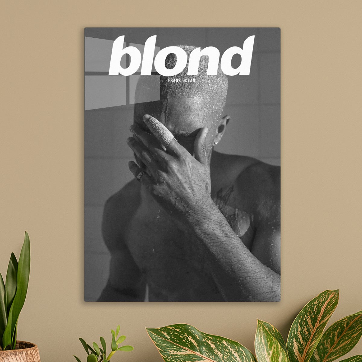 Blonde Black N White