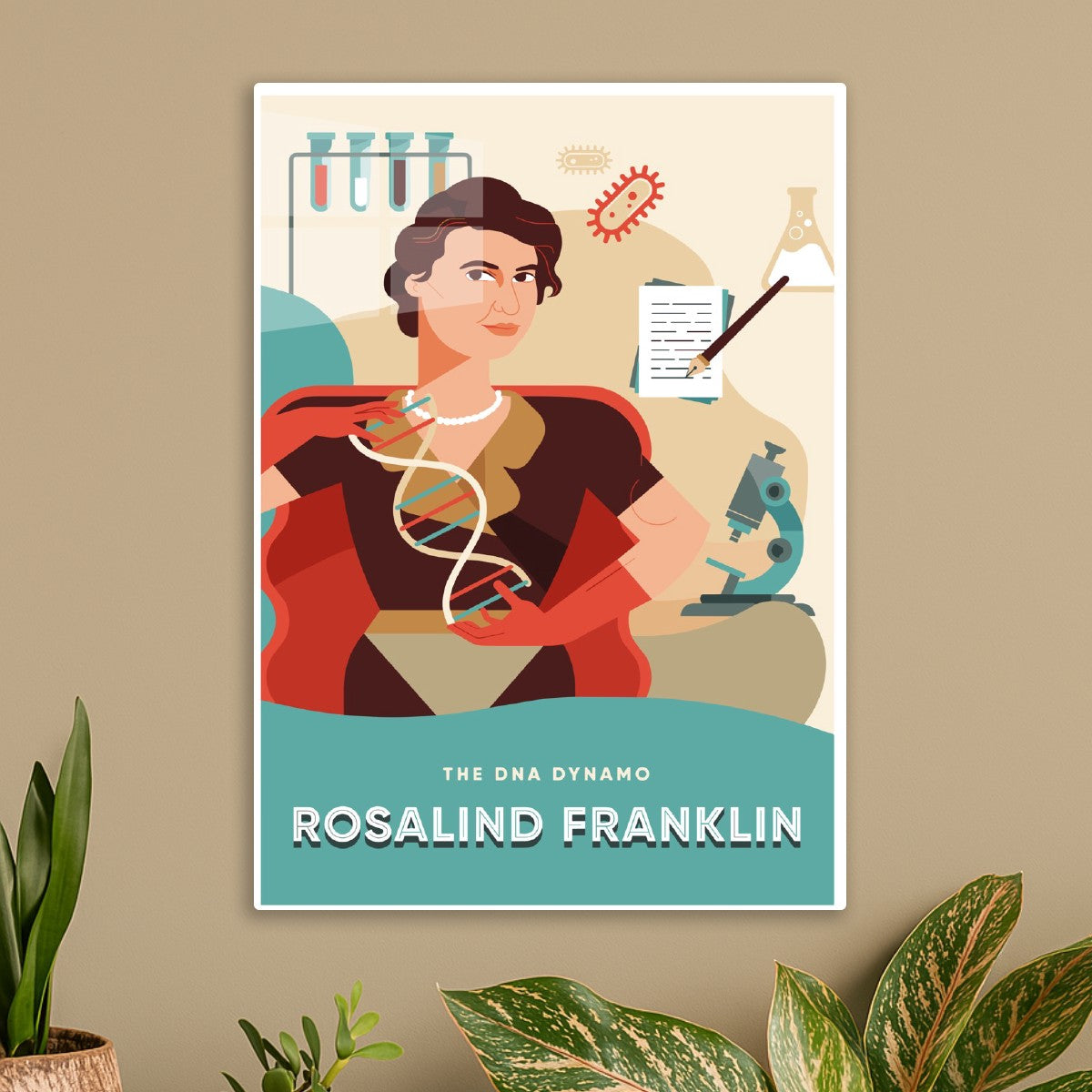 Rosalind Franklin: The DNA Dyn