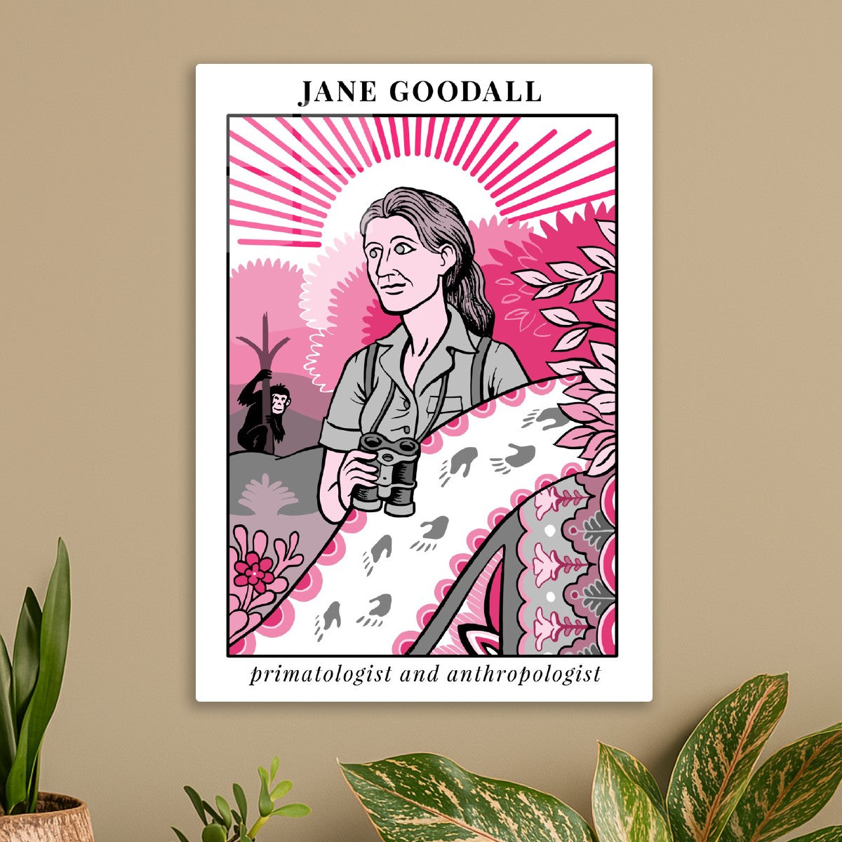 Jane Goodall Primatologist and Anthropologist