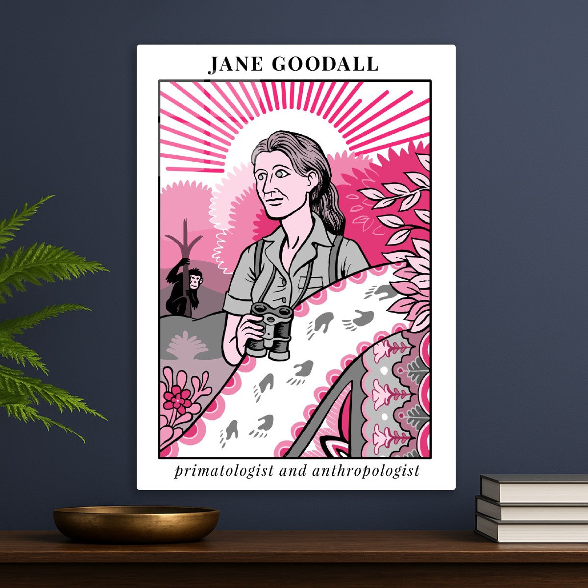 Jane Goodall Primatologist and Anthropologist