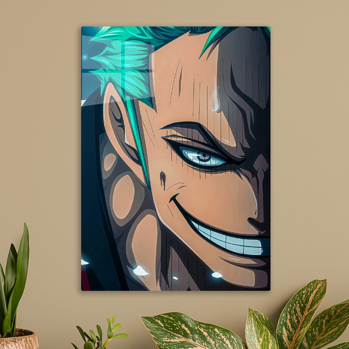 Roronoa Zoro, One Piece