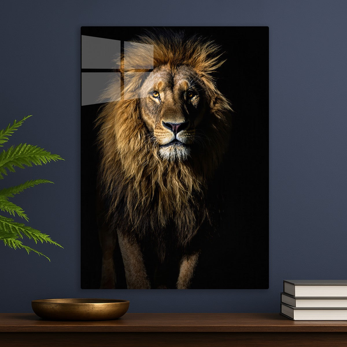Lion King Of The Jungle