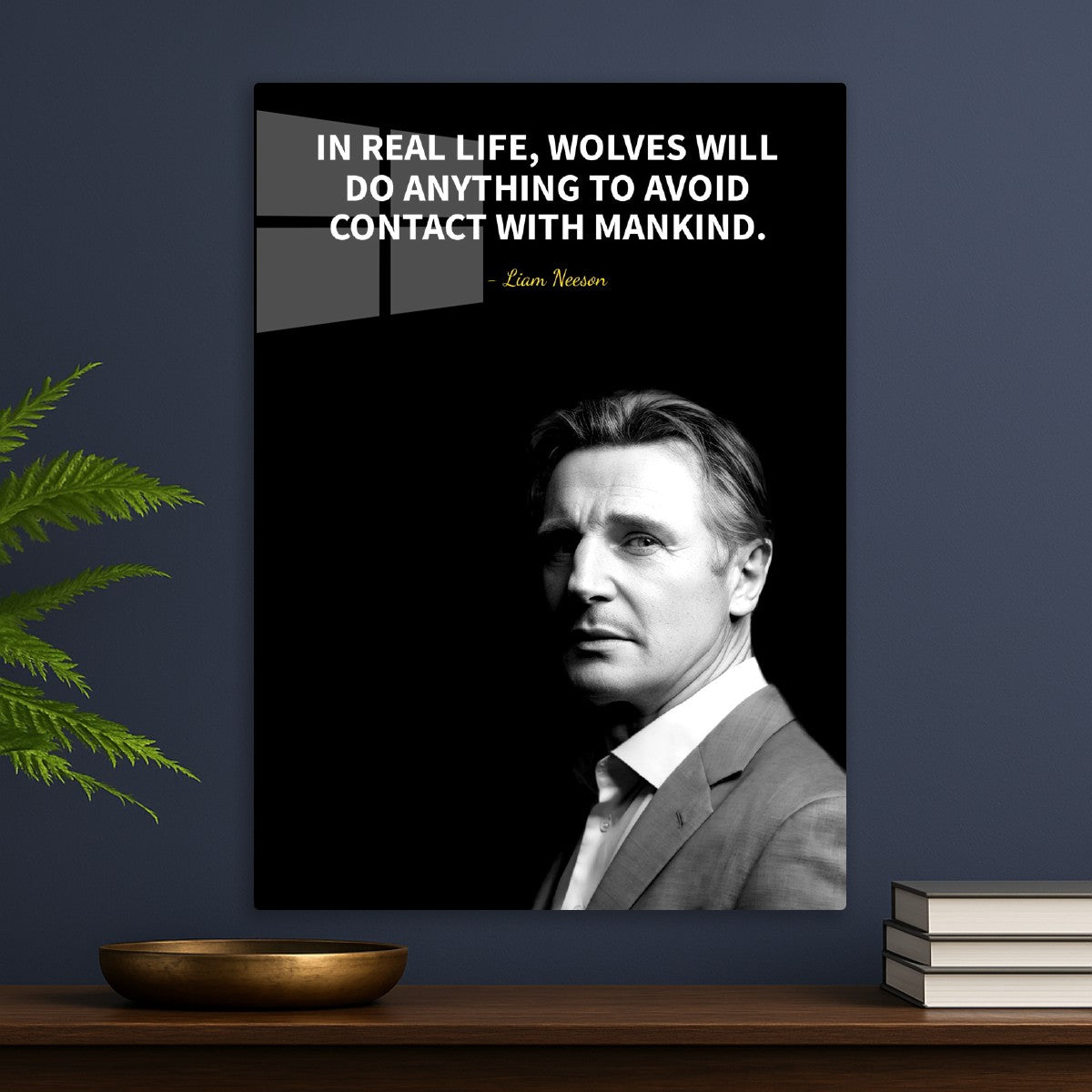 Liam Neeson 