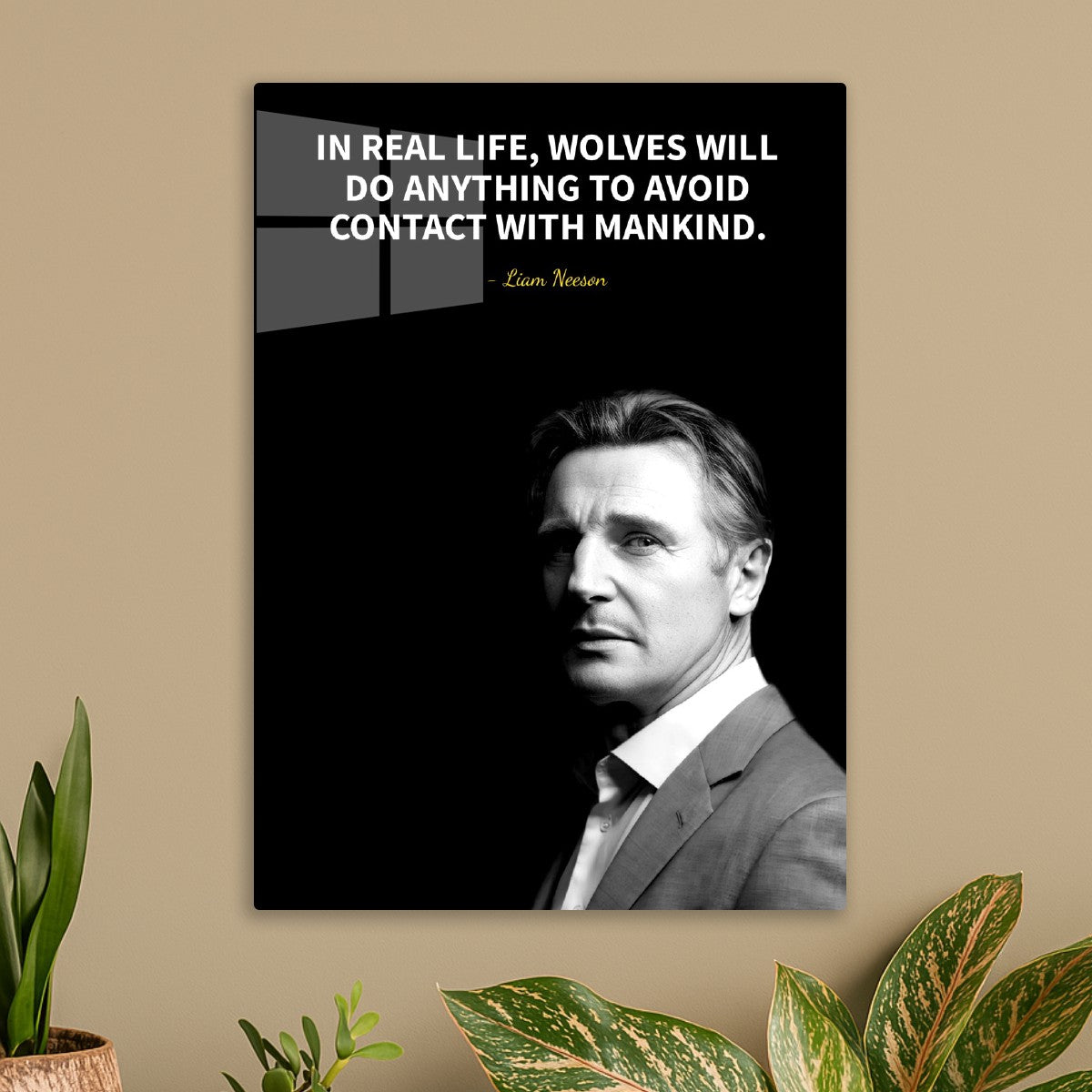 Liam Neeson 