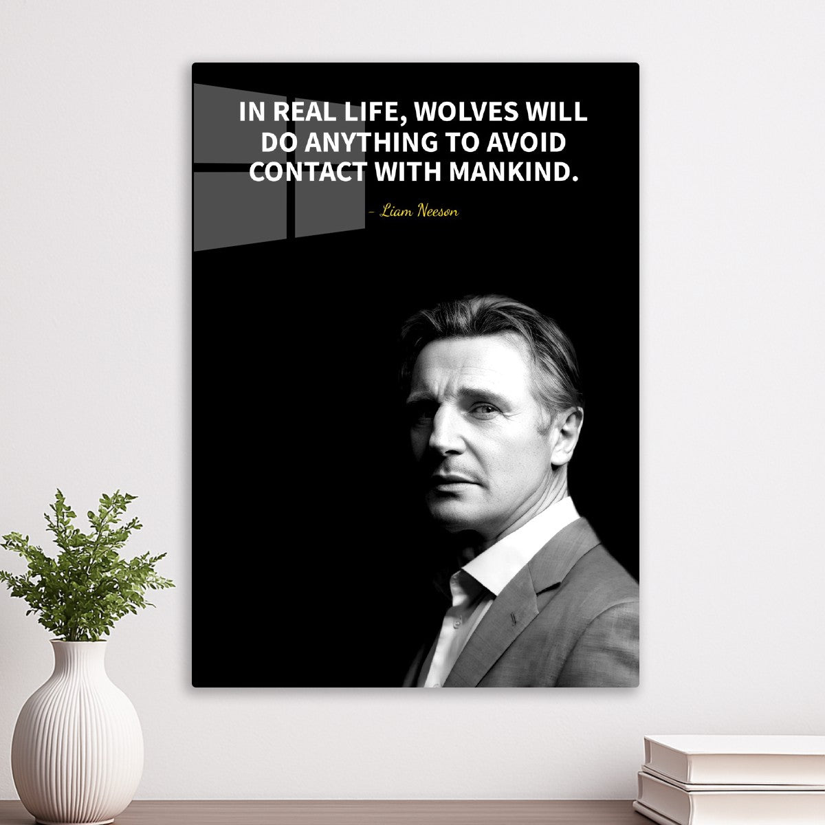Liam Neeson 
