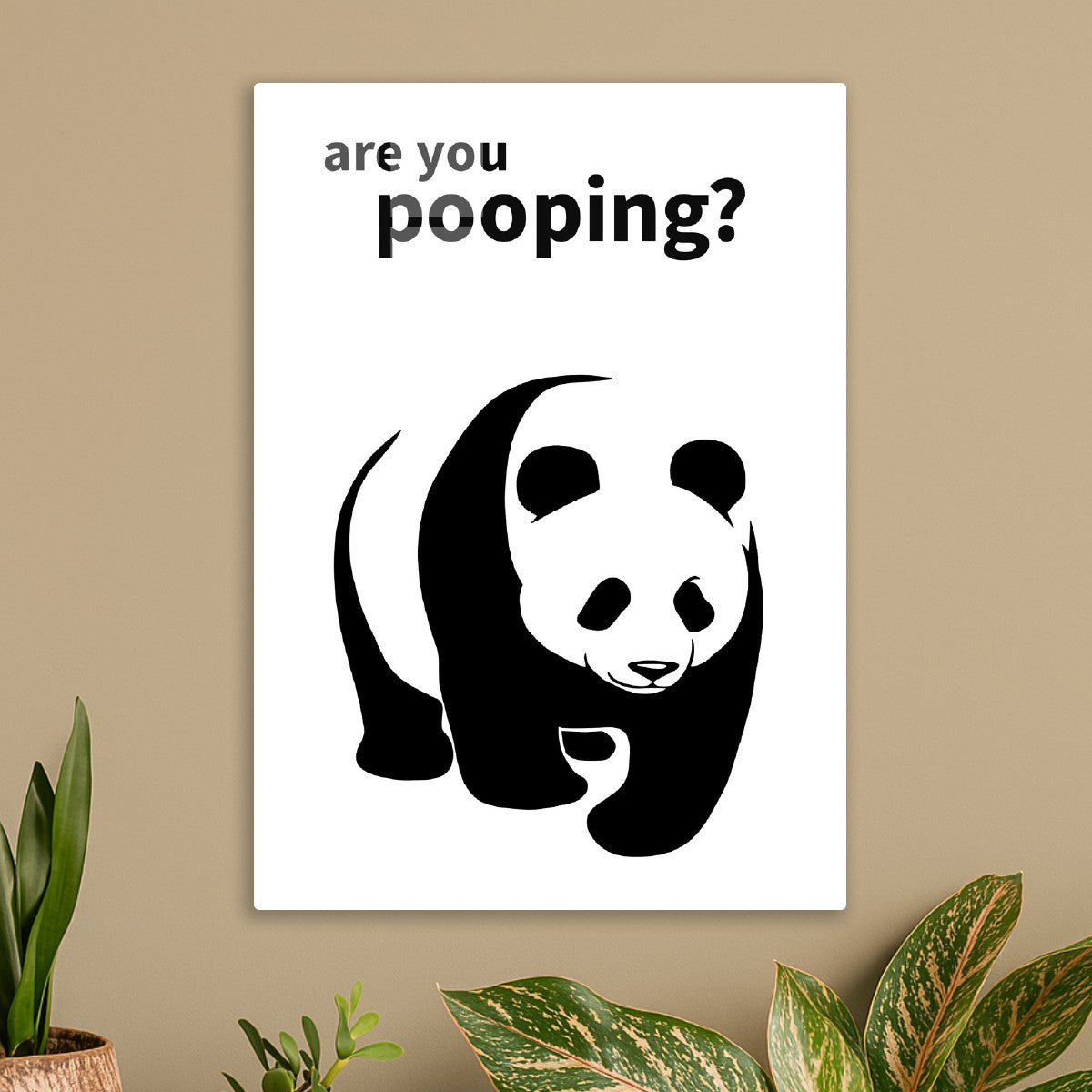 Panda funny 