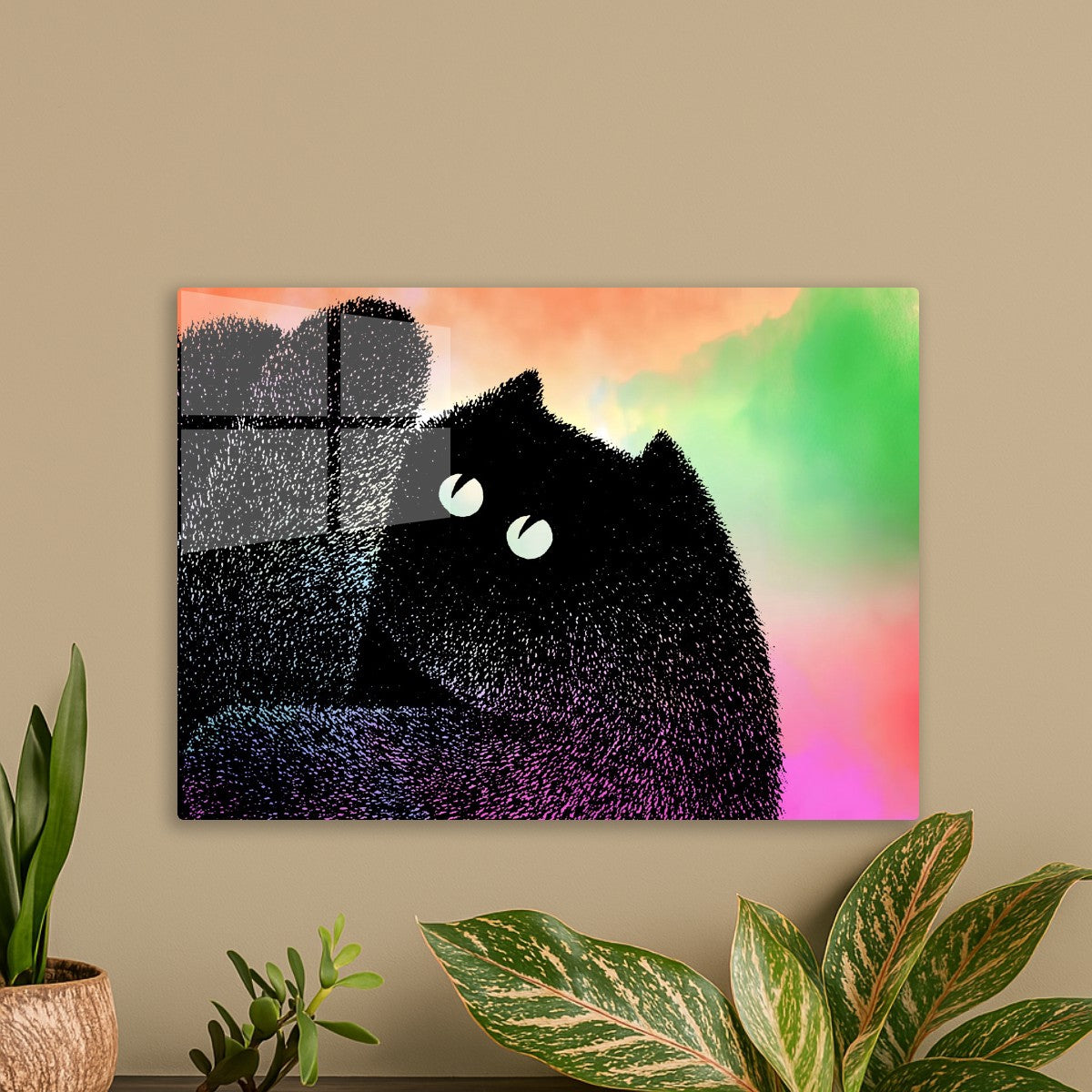 Cute cat
