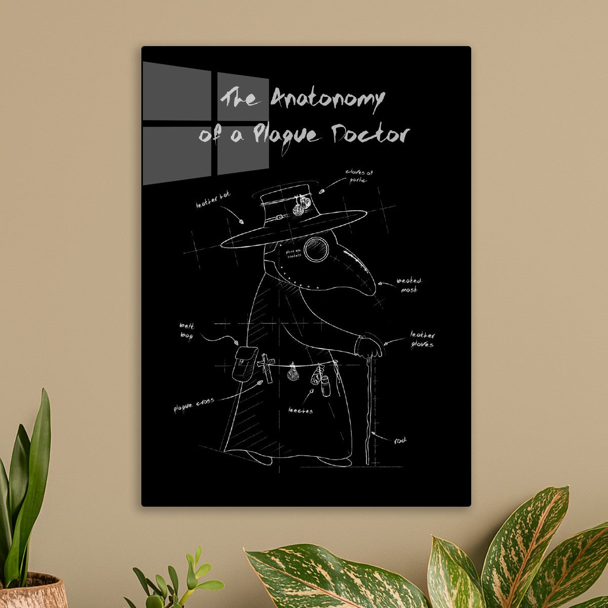 The Anatomy of a Doctor