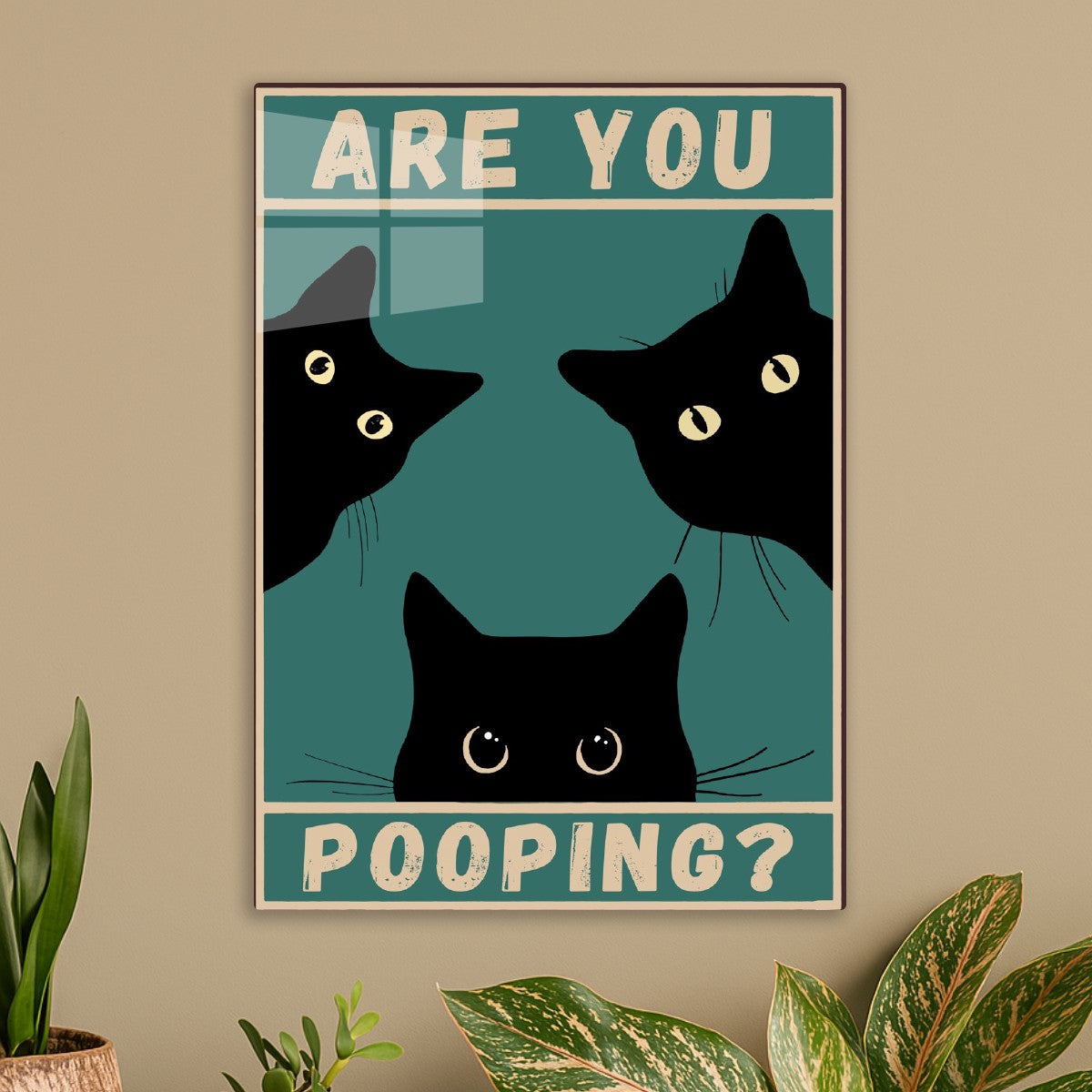 Fat Black Cat Are You Pooping