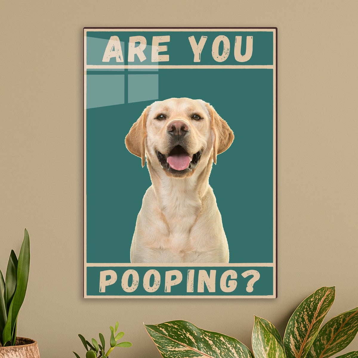 Labrador Are You pooping dog 