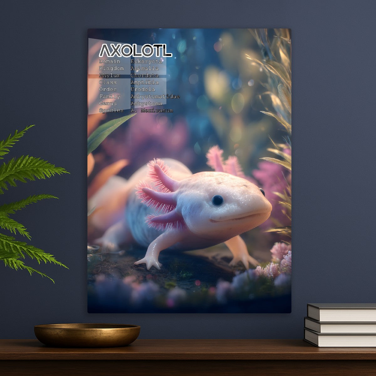 Axolotl