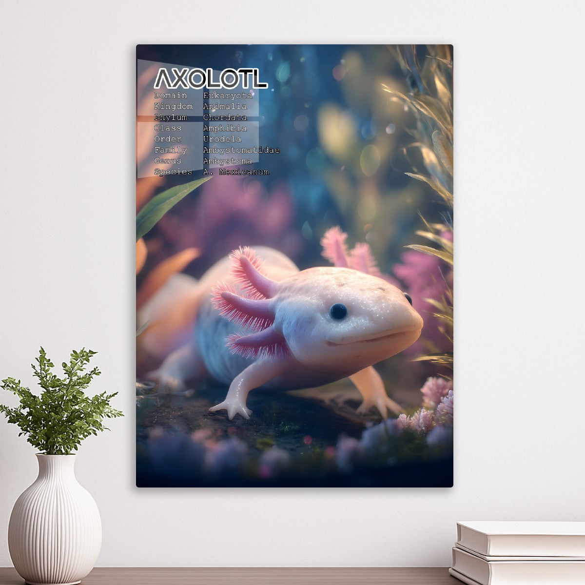 Axolotl